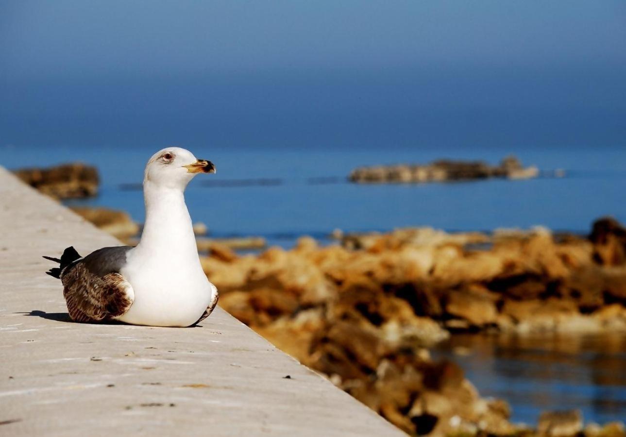 Semplice Bnb Bonagia Valderice Ruang foto